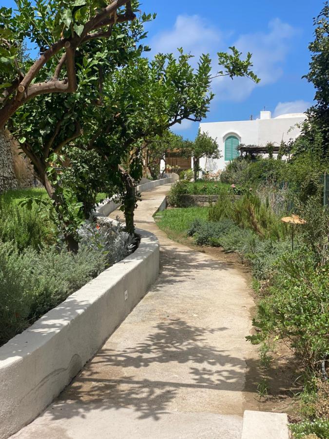 Capri Suite Marina Grande Kültér fotó